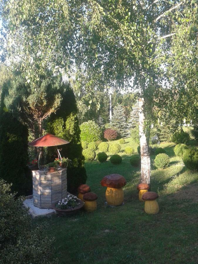 Villa Nina Petrinja